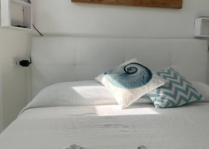 La Conchiglia Di Susy *